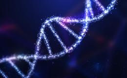 Duchenne Muscular Dystrophy